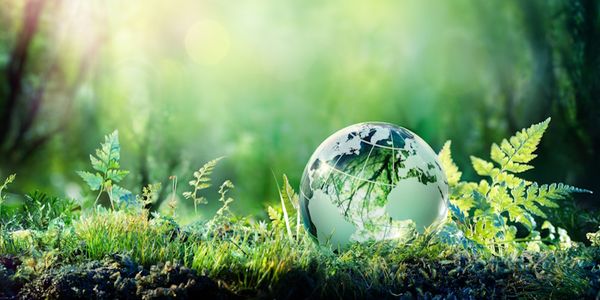 because-sustainability-data-funding-